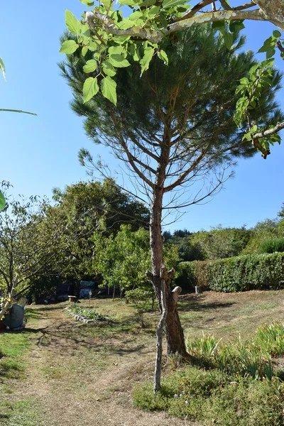 Maison - 270 m² - 12 pièces