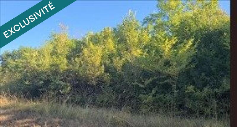 Terrain - 20 925 m²