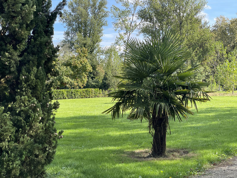 Maison - 206 m² - 8 pièces