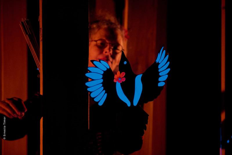 Spectacle : la Pie qui dit