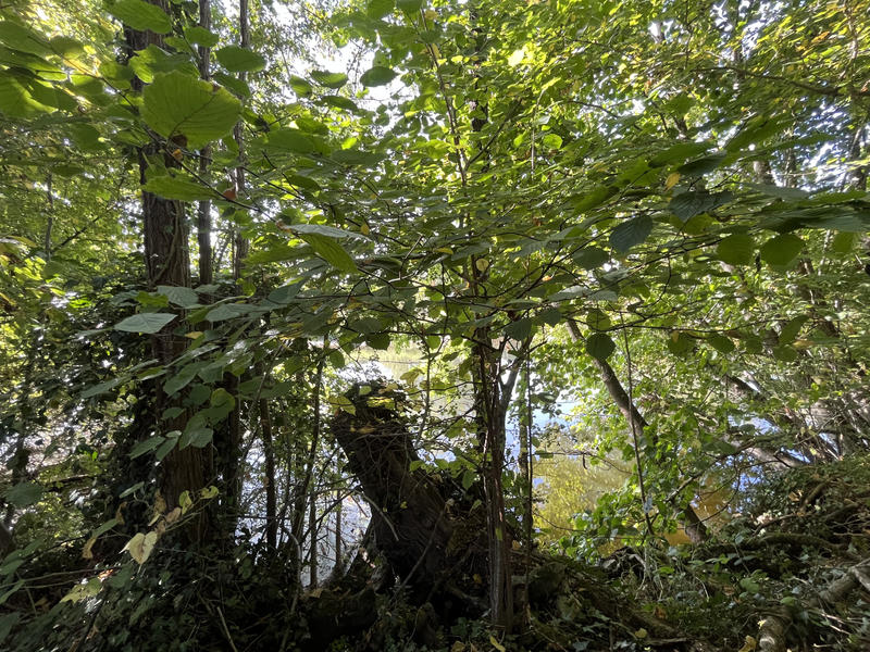 Maison - 256 m² - 9 pièces