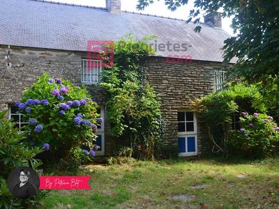 Maison - 250 m² - 4 pièces