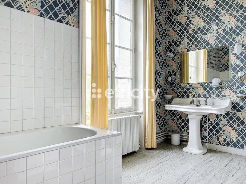 Château - 602 m² - 22 pièces