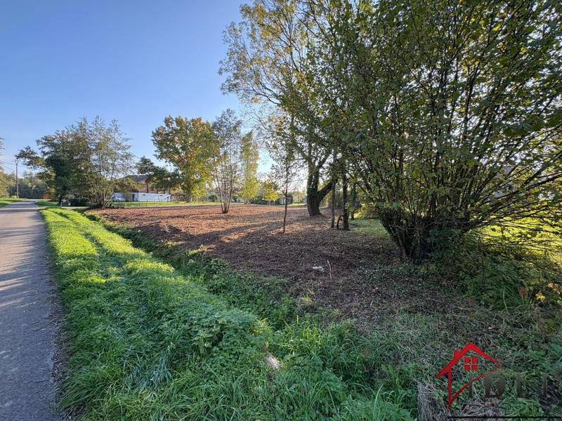 Terrain constructible - 1 350 m²