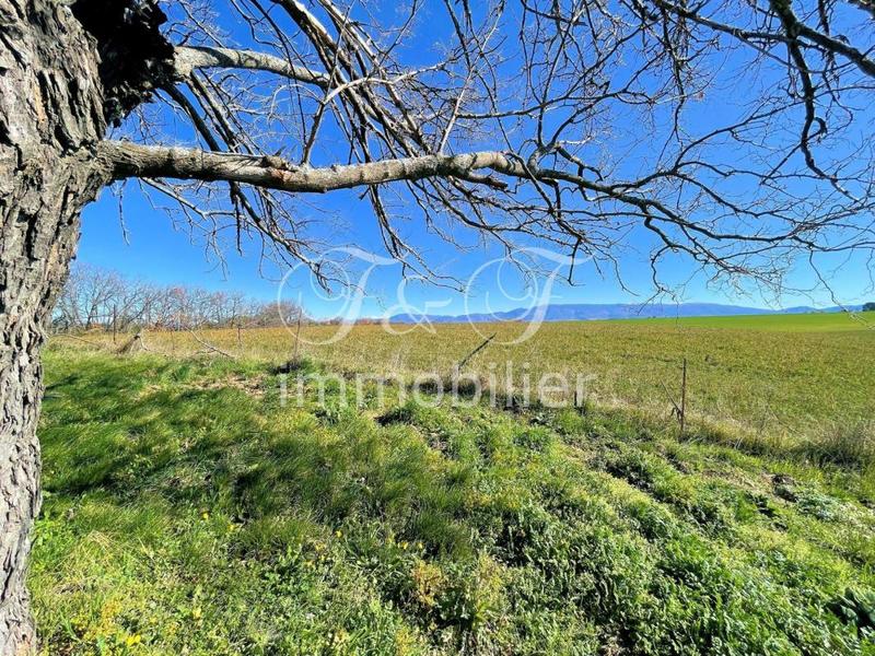 Propriété - 220 m² - 12 pièces