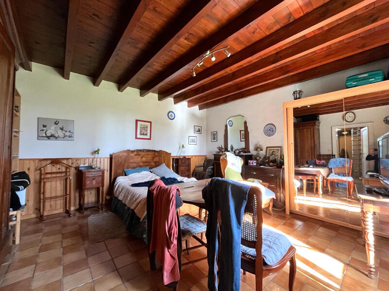 Viager - Maison - 235 m² - 6 pièces