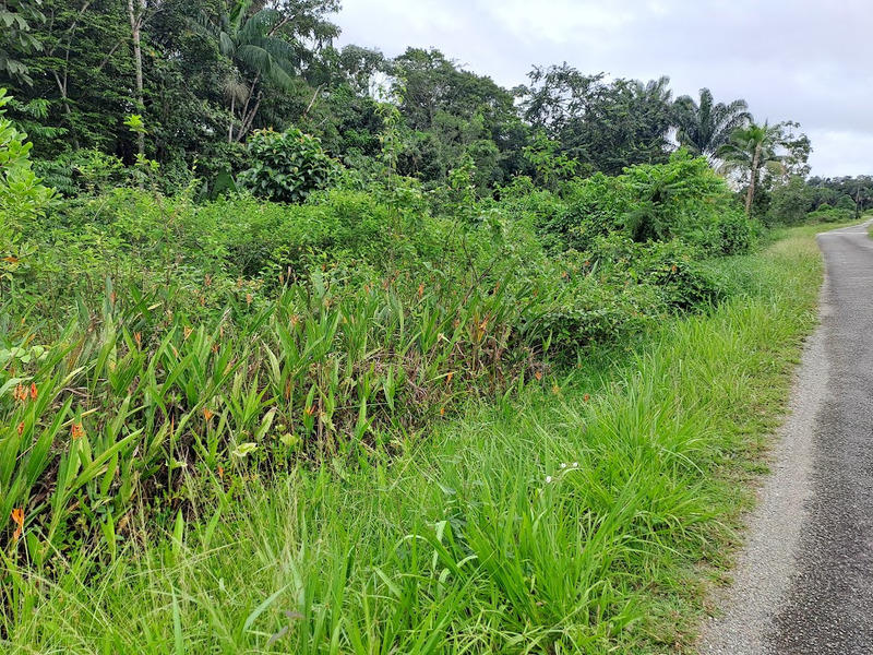 Terrain constructible - 3 444 m²