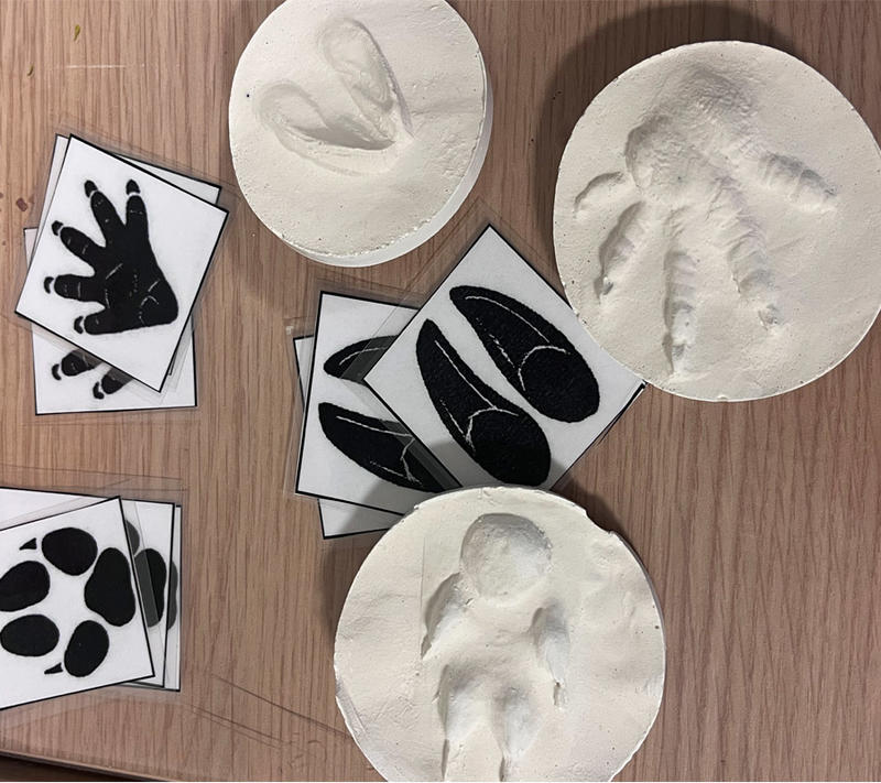 Atelier Bout d'choux Moulage d'empreinte animale