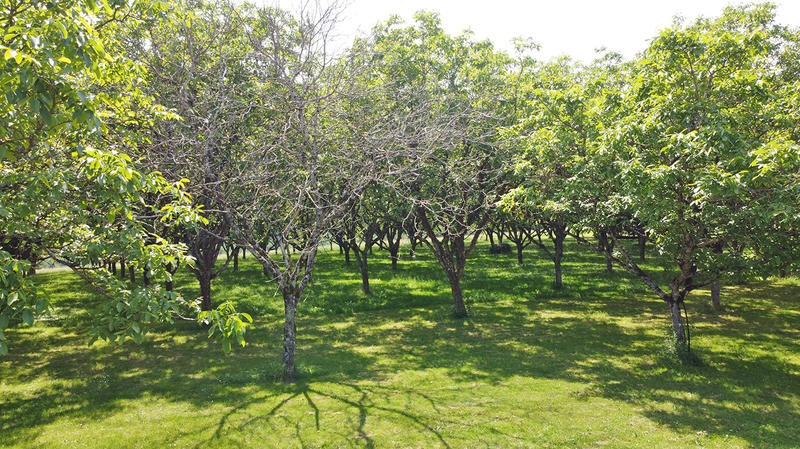 Maison - 231 m² - 9 pièces