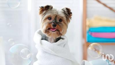 Local commercial - 65 m²