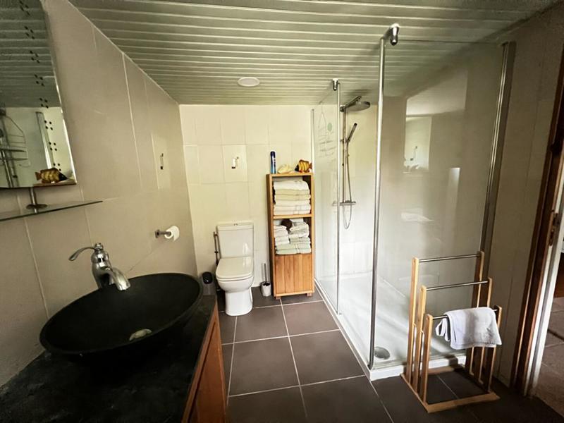 Maison ancienne - 195 m² - 7 pièces