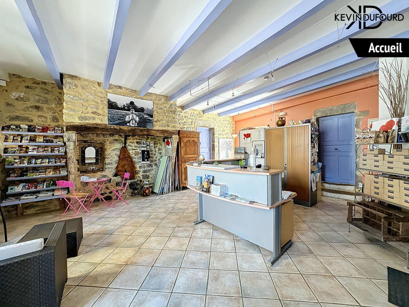 Maison - 1 000 m² - 40 pièces