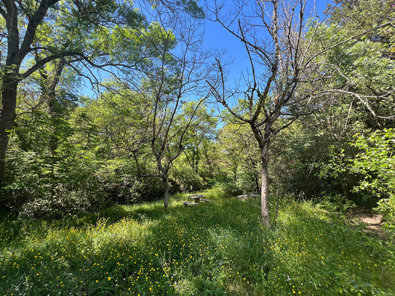 Maison - 175 m² - 5 pièces