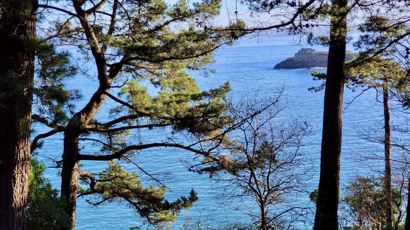 Appartement - 119 m² - 4 pièces