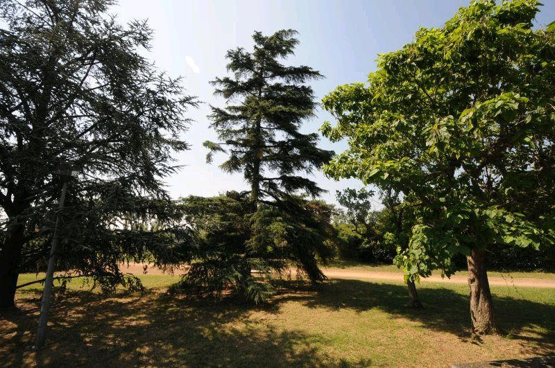 Appartement - 31 m² - 1 pièce