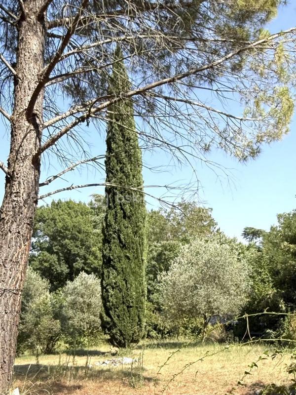 Maison traditionnelle - 93 m² - 3 pièces