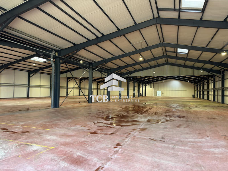 Local d'activités - 2 620 m²