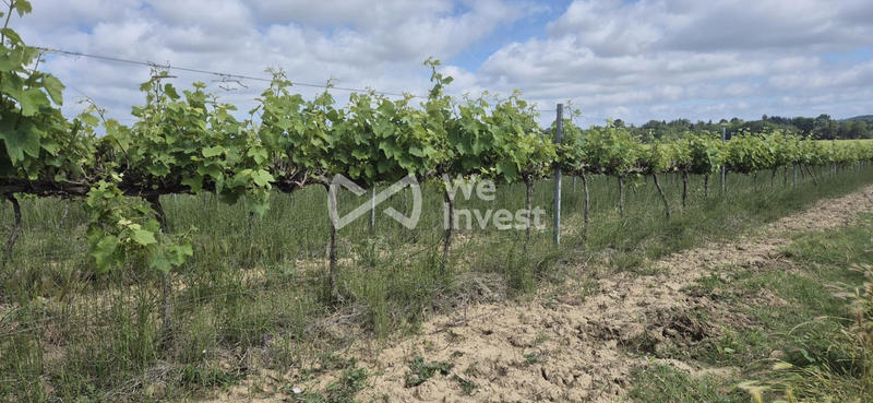 Terrain - 190 000 m²