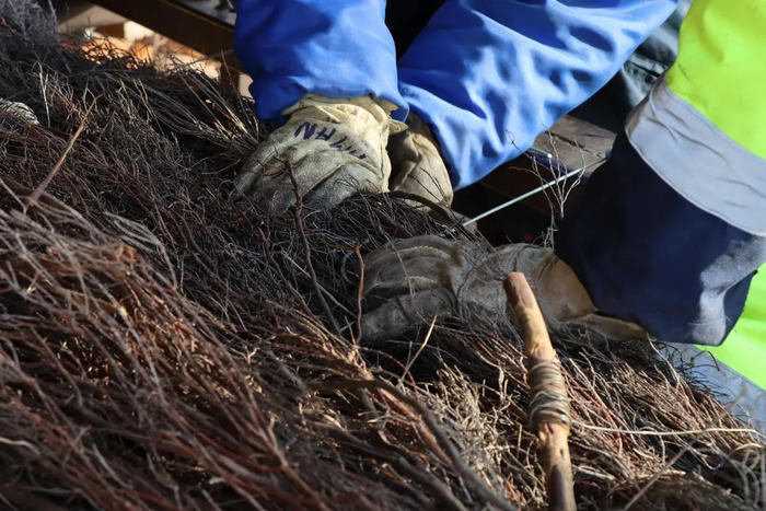 Chantier d’automne : la brande