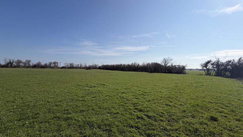 Terrain agricole - 116 262 m²