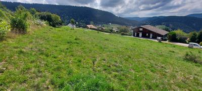 Terrain - 1 055 m²