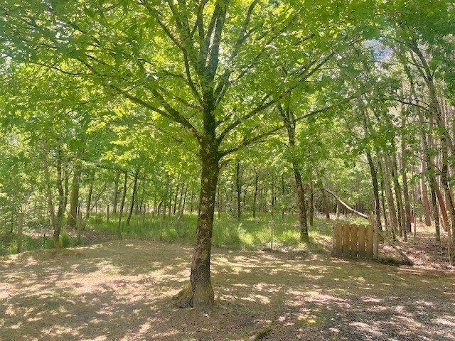 Maison - 97 m² - 5 pièces