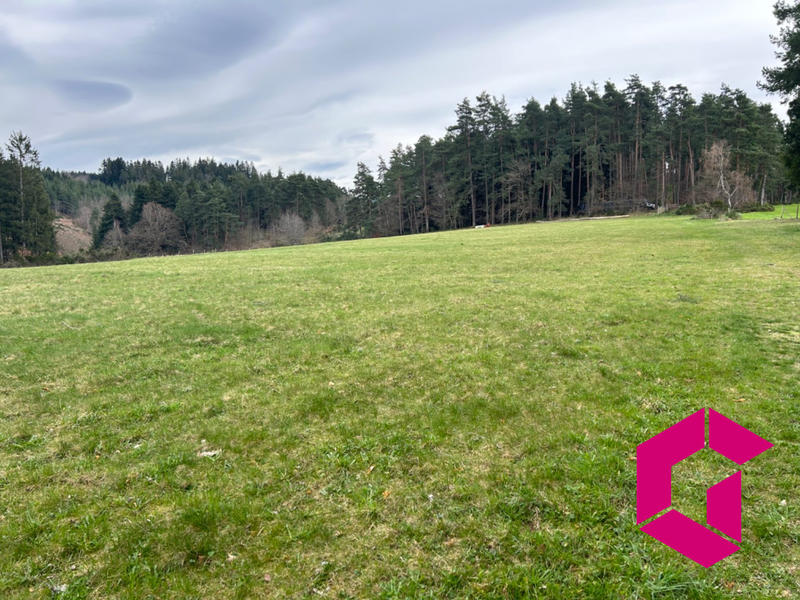 Terrain - 12 256 m²