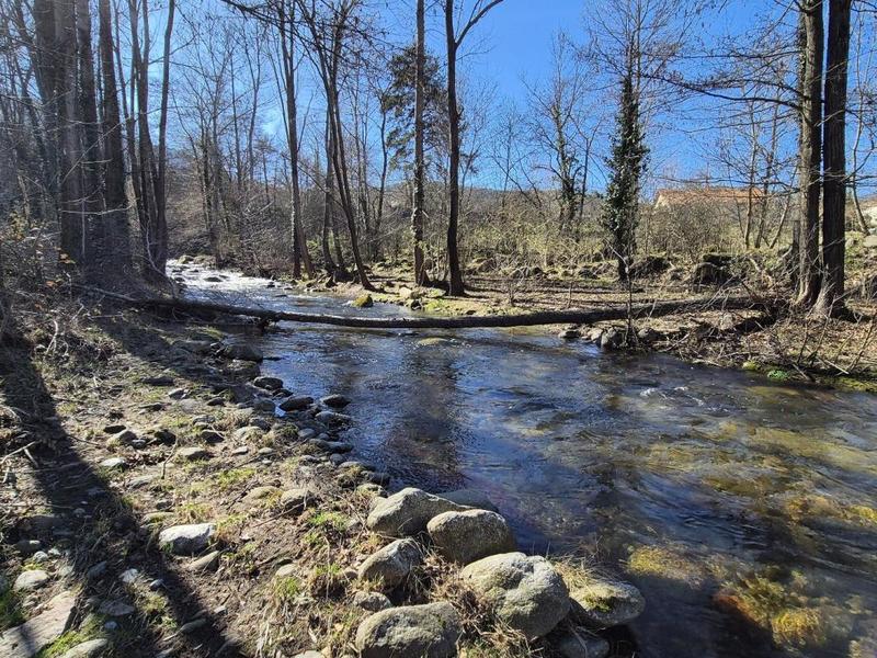 Demeure - 308 m² - 10 pièces