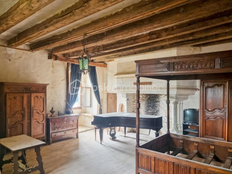 Château - 500 m² - 10 pièces