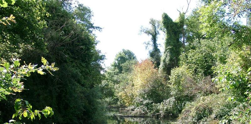 Visite guidée de la réserve naturelle d'Offendorf : Initiation traces et indices de présence