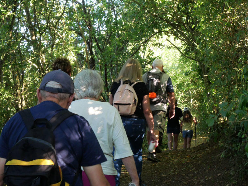 La Marche Gourmande de l'étang de Goule