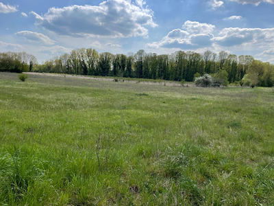 Terrain - 1 686 m²
