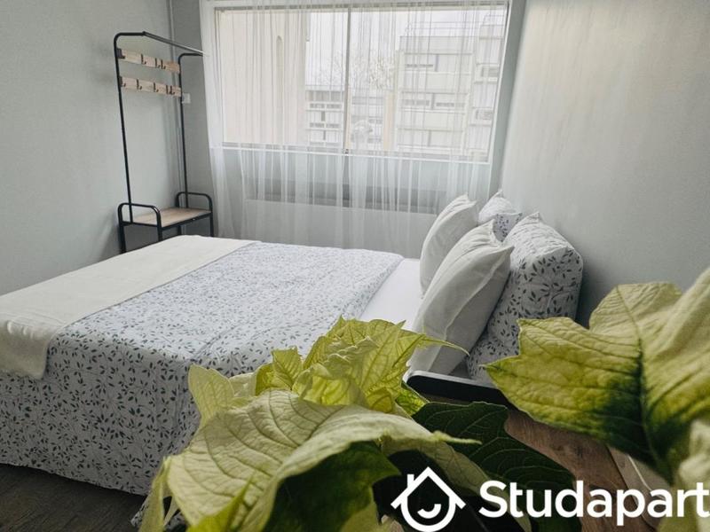 Chambre - 11 m² - 1 pièce