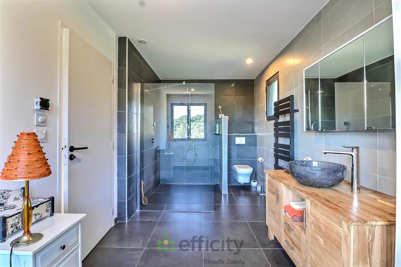 Maison - 250 m² - 9 pièces