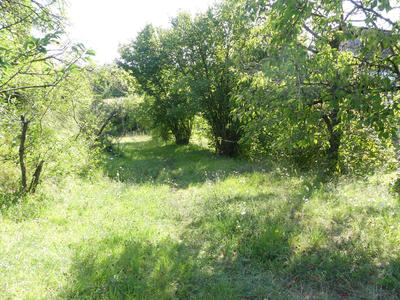 Maison - 32 m² - 3 pièces