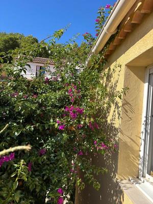 Maison de village - 46 m² - 3 pièces