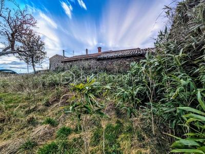 Ferme - 100 m² - 3 pièces