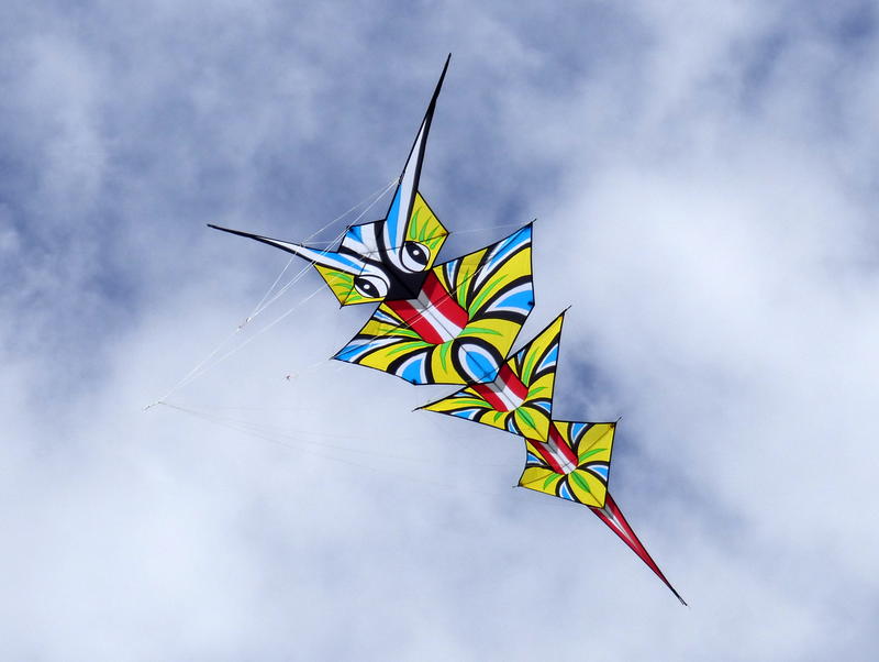 Estivol - 30ème édition