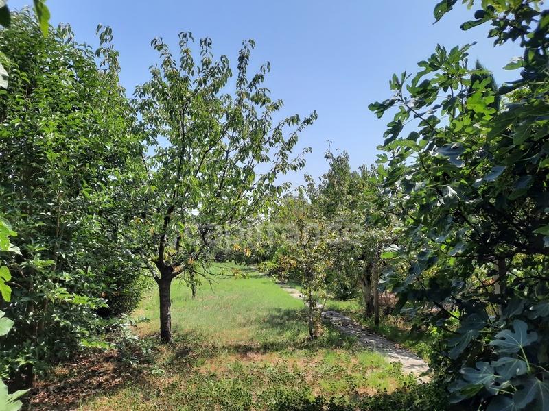 Maison - 198 m² - 8 pièces