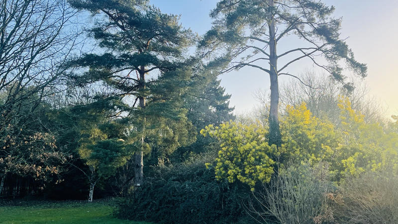 Maison - 231 m² - 8 pièces