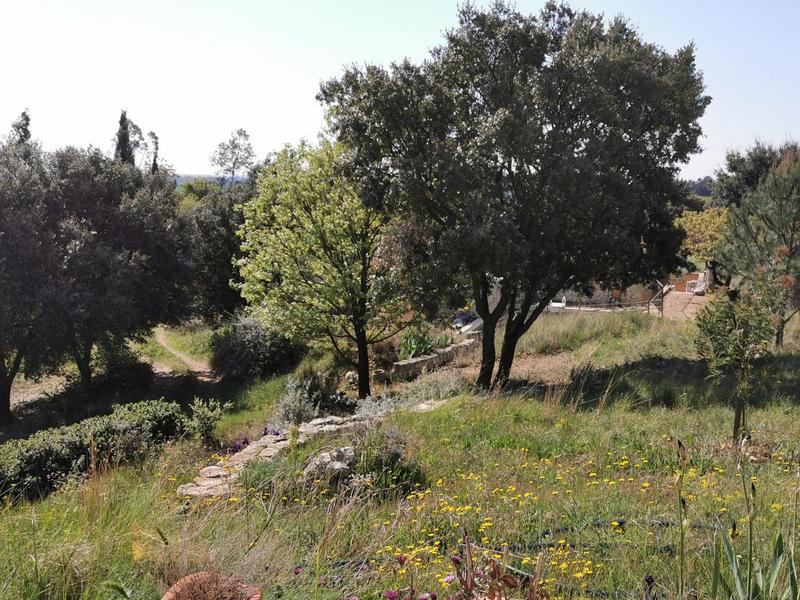 Villa - 350 m² - 14 pièces