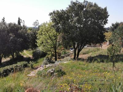 Villa - 350 m² - 14 pièces