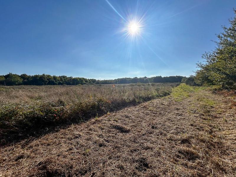 Forêt - 223 455 m²