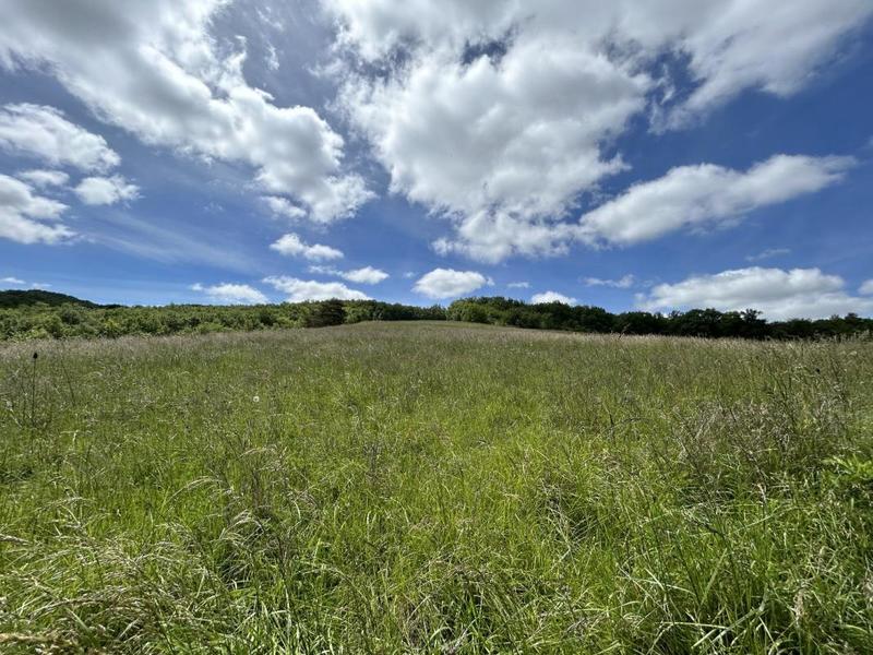 Propriété - 347 m² - 8 pièces