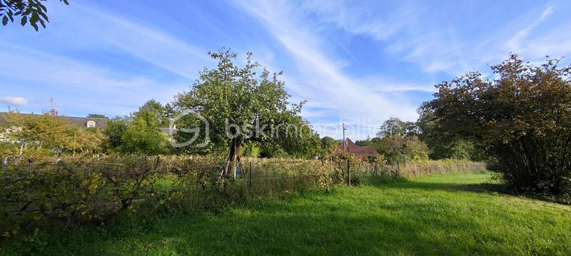 Terrain constructible - 3 149 m²