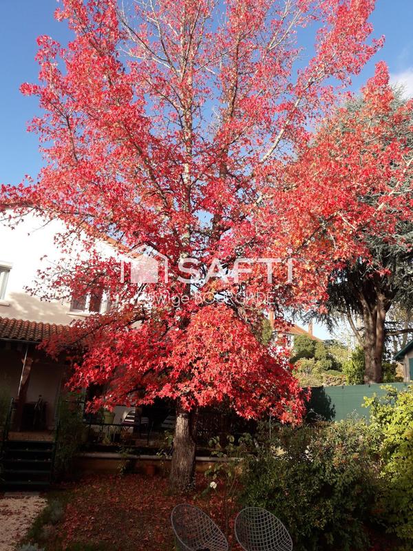 Maison - 238 m² - 6 pièces