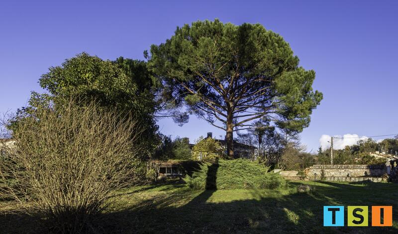 Maison - 250 m² - 7 pièces