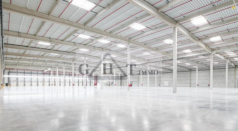 Entrepôt - 50 331 m²