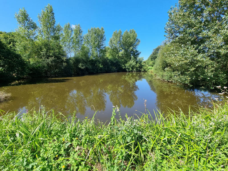 Terrain - 14 264 m²