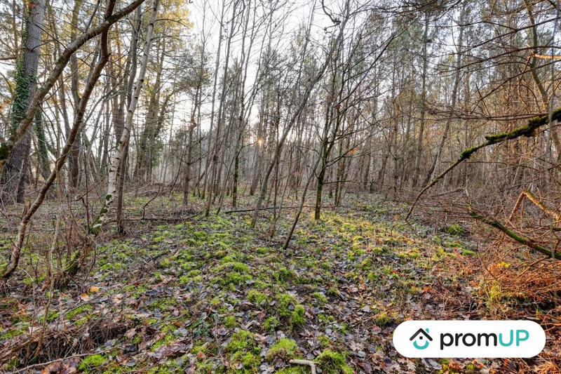 Terrain de loisirs - 1 595 m²